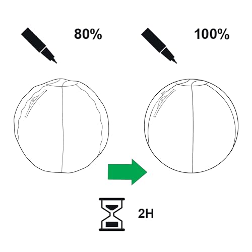 Leitz Ergo Active Sitzball mit Anti-Wegroll-Funktion, Ergonomische Alternative zum Bürostuhl, Gymnastikball, 65 cm Durchmesser, Stoffbezug, Für Büro oder Home Office, Ergo-Serie, Dunkelgrau, 65420089