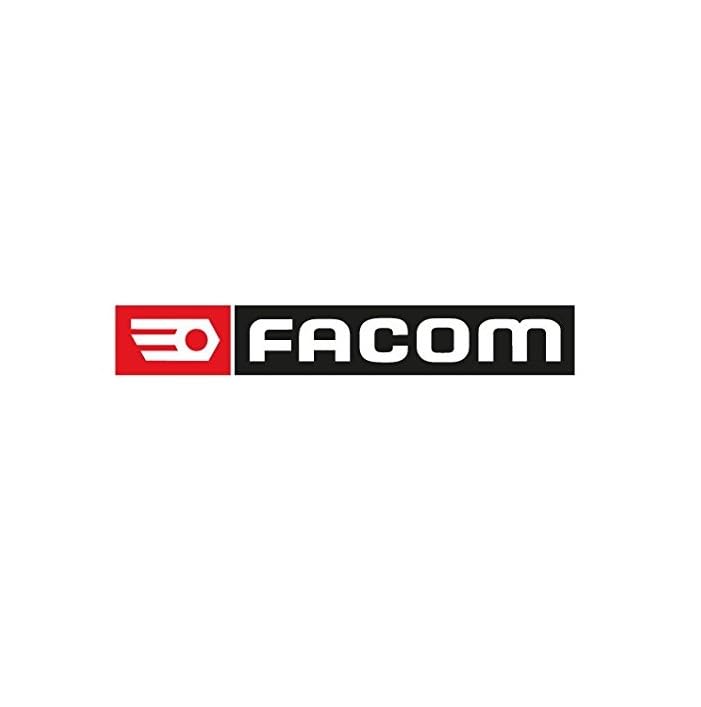 FACOM 1/2 Zoll Kurbel mit PVC- Drehgriffür, 1 Stück, S.110
