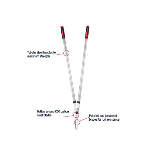 Spear & Jackson 4901RSS Razorsharp Stahl-Rasenschere