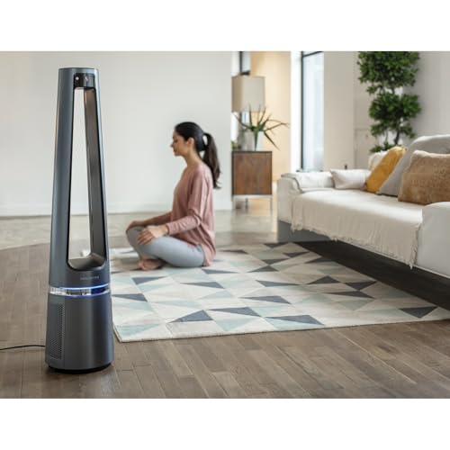 Rowenta rotorloser 2 in1 Luftreinigungsventilator Eclipse QU5030 | Luftreiniger und Ventilator | Feinpartikel | 12 Geschwindigkeiten | Timer | verzögerte Startfunktion | Fernbedienung | Anthrazit