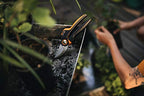 Fiskars Bypass-Gartenschere L, X-series PowerGear, P961, Mit Rollgriff, Für frische Äste und Zweige, Antihaftbeschichtet, Edelstahl-Klingen, Länge: 22,2 cm, Schwarz/Orange, 1057175