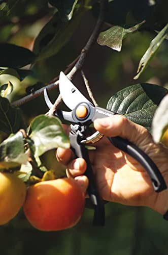 Fiskars Bypass-Gartenschere für frische Äste und Zweige, Antihaftbeschichtet, Hochwertige Stahl-Klingen, Länge: 22,5 cm, Schwarz/Orange, Pro, P90, 1001530