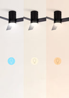 CREATE / WINDMINIMAL/Deckenventilator Schwarz mit Beleuchtung und Fernbedienung/Leise, Timer, DC-Motor, 40W, Ø132 cm, 6 Geschwindigkeiten, Sommer-Winterbetrieb