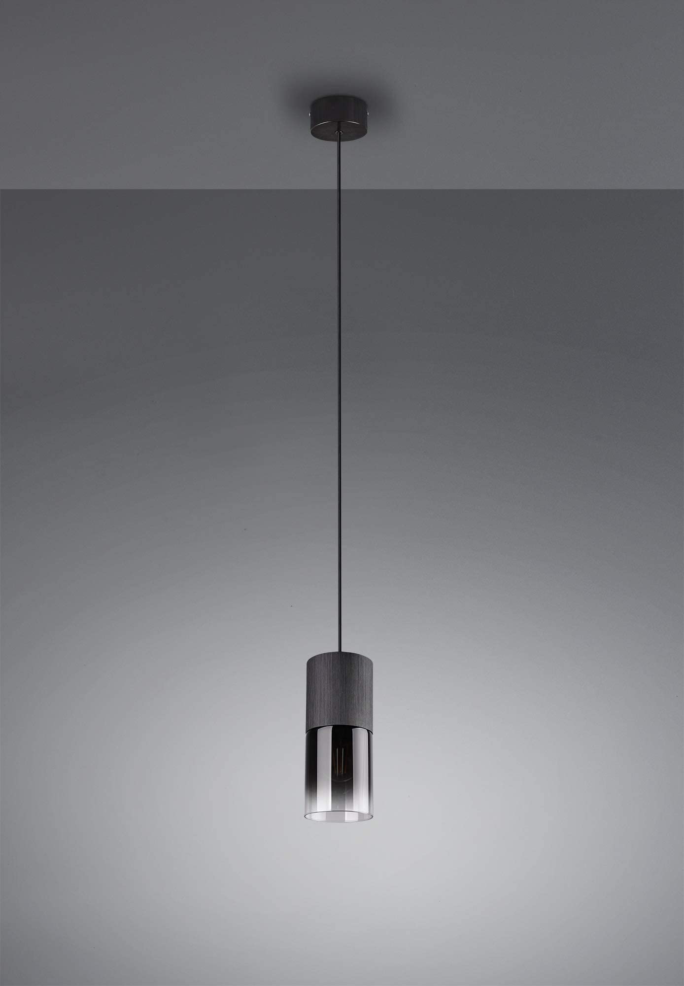 Trio Leuchten Pendelleuchte Robin 310600132, Metall Schwarz matt, Glas rauchfarbig, exkl. 1x E27