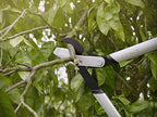 Fiskars PowerGearX Amboss-Getriebeastschere für trockenes und hartes Holz, Antihaftbeschichtet, Gehärteter Präzisionsstahl, Länge: 80 cm, Schwarz/Orange, LX99-L, 1020189