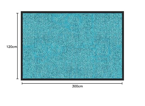 etm® Schmutzfangmatte - Fußmatte in vielen Größen - Türmatte Fußabstreifer für Haustür innen und außen (Türkis, 120x300 cm)