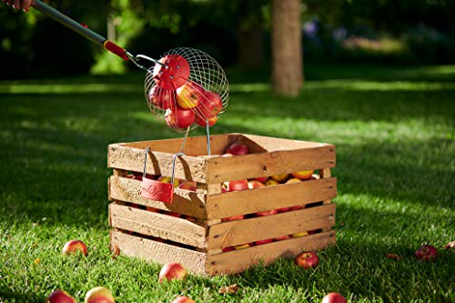 WOLF Garten 71AAA047650 FC-M Obstsammler