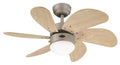 Westinghouse Lighting 76 cm Deckenventilator Turbo Swirl 78158 mit Einzelleuchte und sechs Flügeln, Ausführung in Titan mit Opalmilchglas, 7815840, Titanium