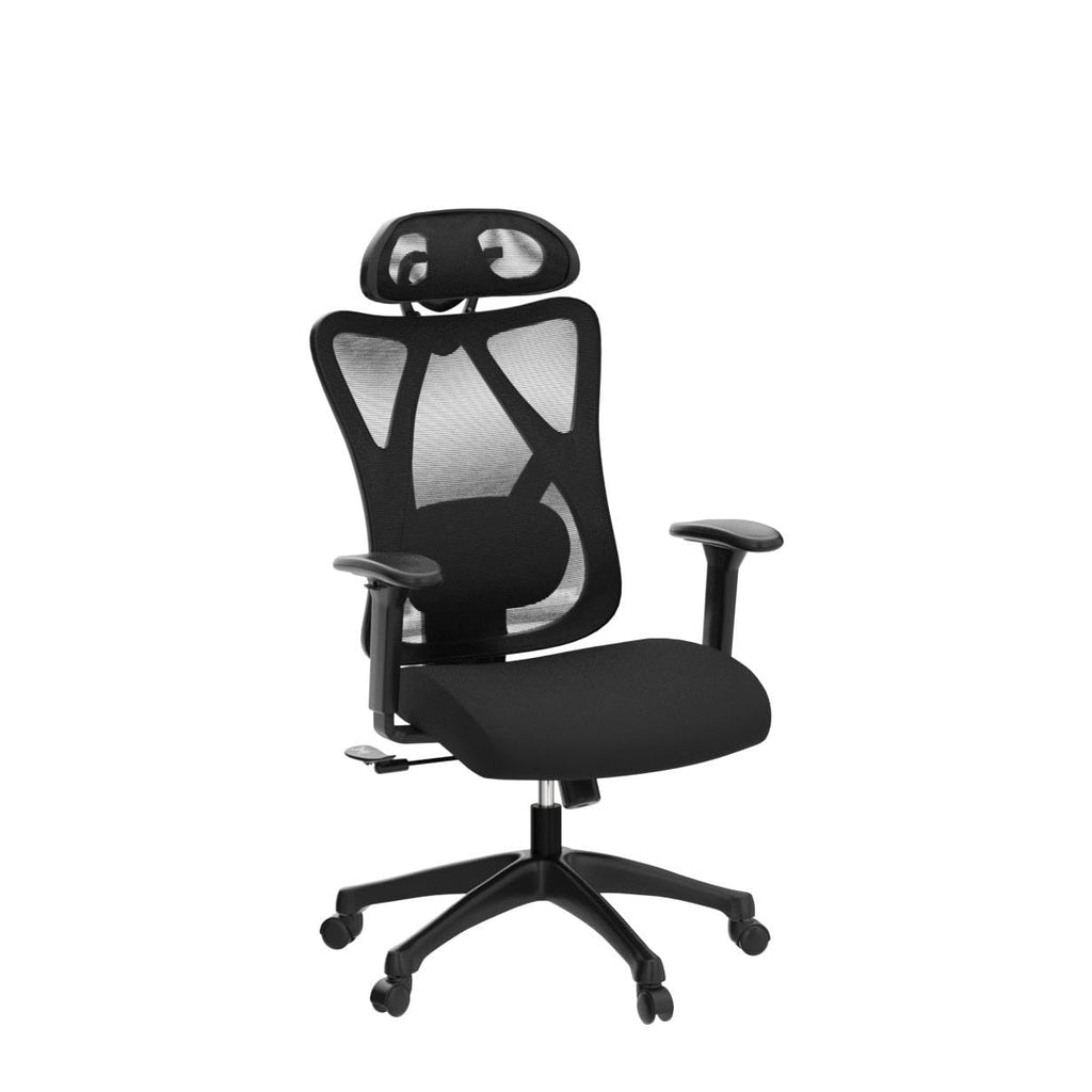 SONGMICS Ergonomischer Bürostuhl, Computerstuhl, Mesh-Stuhl, Lendenkissen und Kopfstütze verstellbar, maximale Belastung: 150 kg, höhenverstellbar, Tintenschwarz, OBN063B01