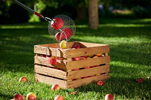 WOLF Garten 71AAA047650 FC-M Obstsammler