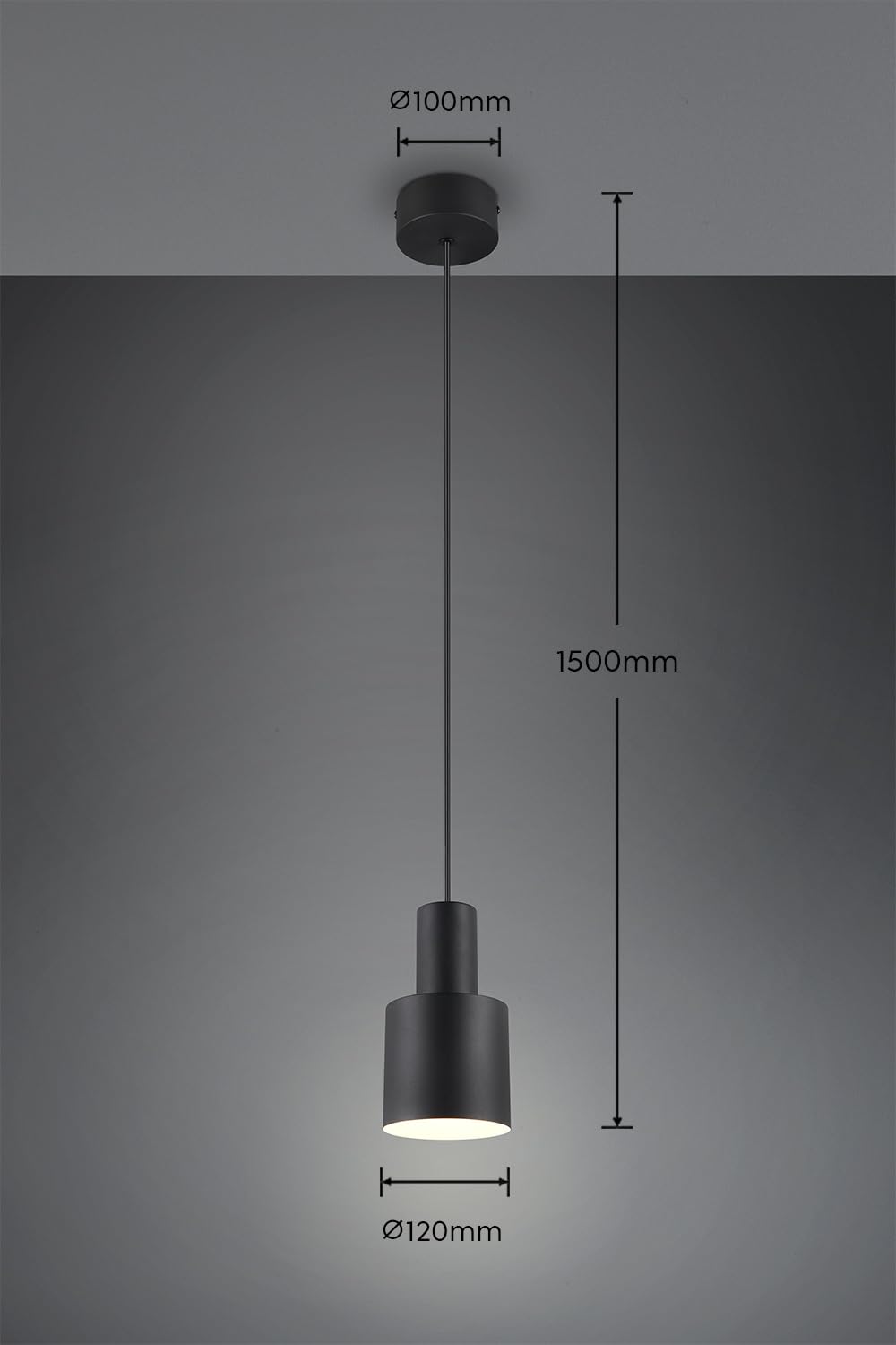 Trio Leuchten Pendelleuchte Agudo 319400132, Metall Schwarz matt, exkl. 1x E27
