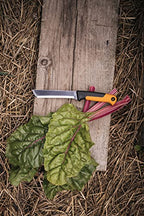Fiskars Erntemesser, Für dicke Stiele und Stängel, Klingenlänge: 15 cm, Rostfreier Stahl/Kunststoff, Schwarz/Orange, X-series, K82, 1062830