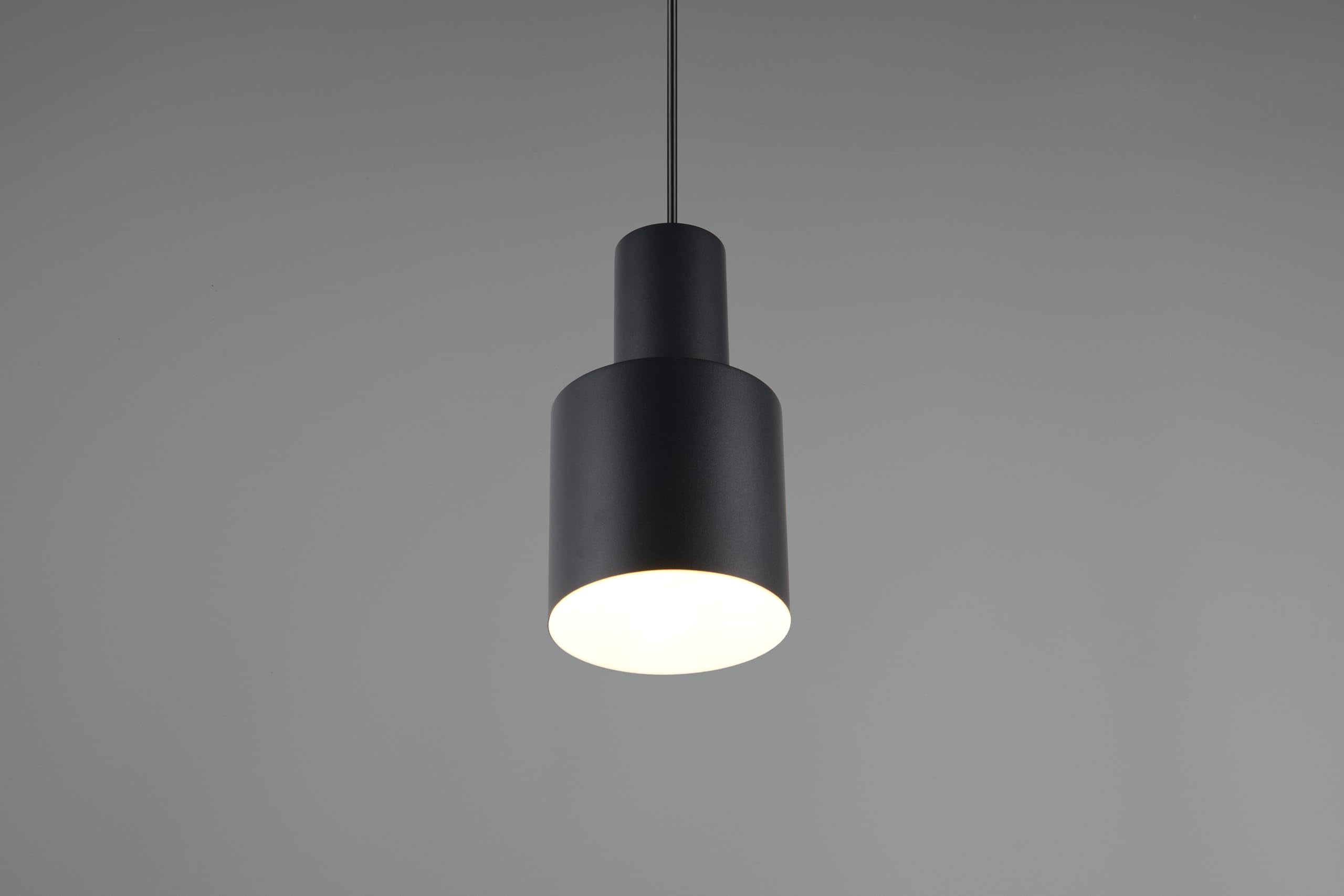 Trio Leuchten Pendelleuchte Agudo 319400132, Metall Schwarz matt, exkl. 1x E27