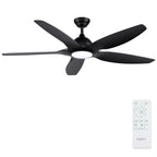 Newday Deckenventilatoren Große 153CM, Deckenventilator Schwarz mit Beleuchtung und Fernbedienung Leise, Ventilator mit Licht, 5 Flügel, Motor DC Reversibel, Stufenloser Dimmer, Zeitgeber für wohnraum