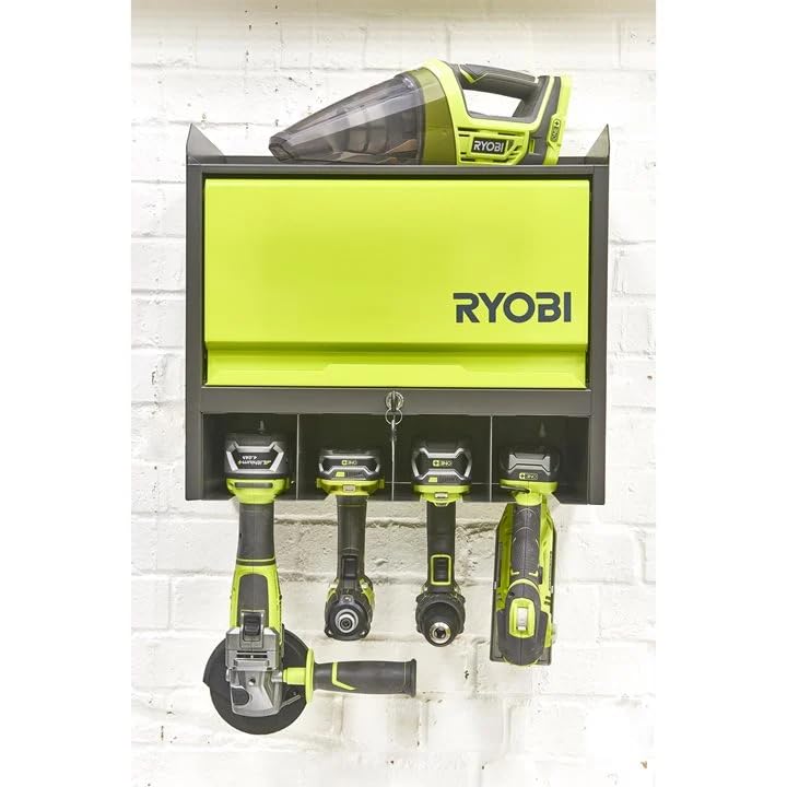 RYOBI Garagen-Wandschrank RHWS-01 (434mm lang, 478mm hoch, eintürig, Tragfähigkeit bis zu 150Kg)