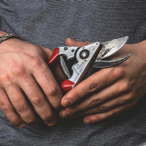 FELCO 8 Bypass-Gartenschere für Rechtshänder, ergonomisch für große Hände, 52 mm Stahlklinge, 25 mm Schnittdurchmesser, Stoßdämpfer, geschmiedete Aluminiumgriffe, abgewinkelter Schneidkopf, Swiss Made