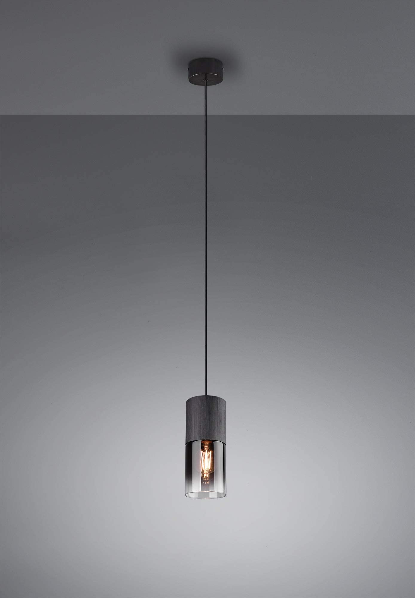 Trio Leuchten Pendelleuchte Robin 310600132, Metall Schwarz matt, Glas rauchfarbig, exkl. 1x E27