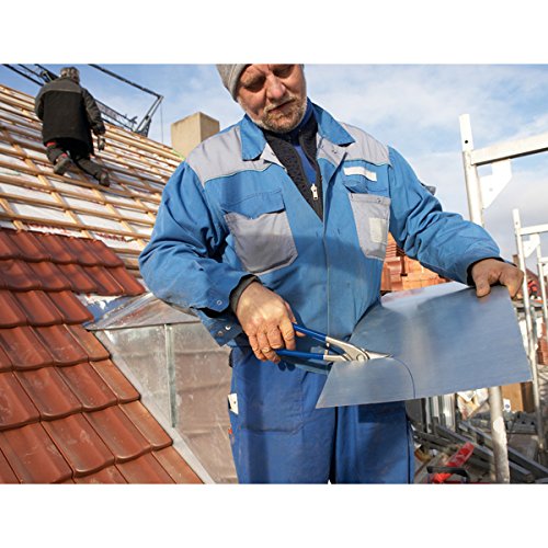 BESSEY Erdi Ideal-Schere D216-280, Rechtsschneidend, Gesamtlänge 280 mm Schnittlänge 34 mm, Griffe lackiert, Gewicht 0,58 Kg