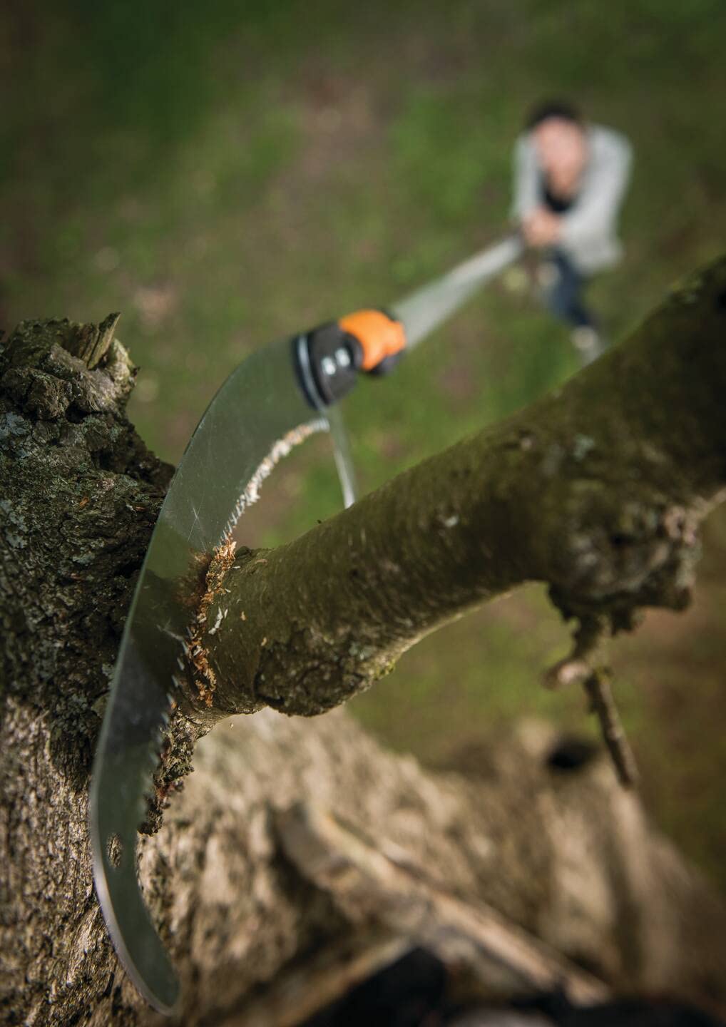 Fiskars Wertastungssäge für Arbeiten an weit entfernten Stellen, Werkzeugkopf, Länge: 55 cm, Gehärtetes Stahl-Sägeblatt, Schwarz/Orange, QuikFit, 1000691