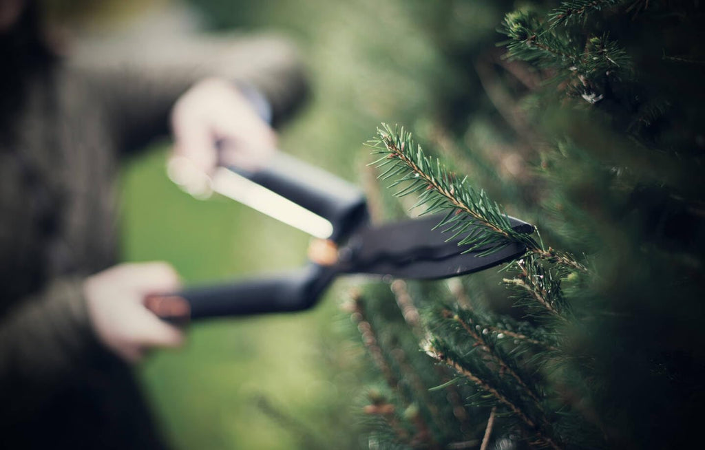 Fiskars SingleStep Heckenschere, Mit Wellenschliff, Hochwertige Stahl-Klingen, Länge 60 cm, Mattschwarz, HS22, 1001433