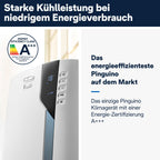 De'Longhi Pinguino PAC EX105 Mobiles Klimagerät mit EcoRealFeel-Technologie, 10.000 BTU/h, für Räume bis 100m³, Entfeuchtungs- & Ventilationsfunktion, 24h-Timer, Energieeffizienzklasse A+++, Weiß