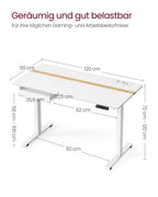 VASAGLE Höhenverstellbarer Schreibtisch elektrisch, 120 x 60 cm Tischoberfläche, Memory-Funktion mit 4 Höhen, mit Steckdosen und Stoffschubla, wolkenweiß-golichenfarben LSD112W01