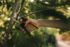Fiskars Bypass-Gartenschere L, X-series PowerGear, P961, Mit Rollgriff, Für frische Äste und Zweige, Antihaftbeschichtet, Edelstahl-Klingen, Länge: 22,2 cm, Schwarz/Orange, 1057175