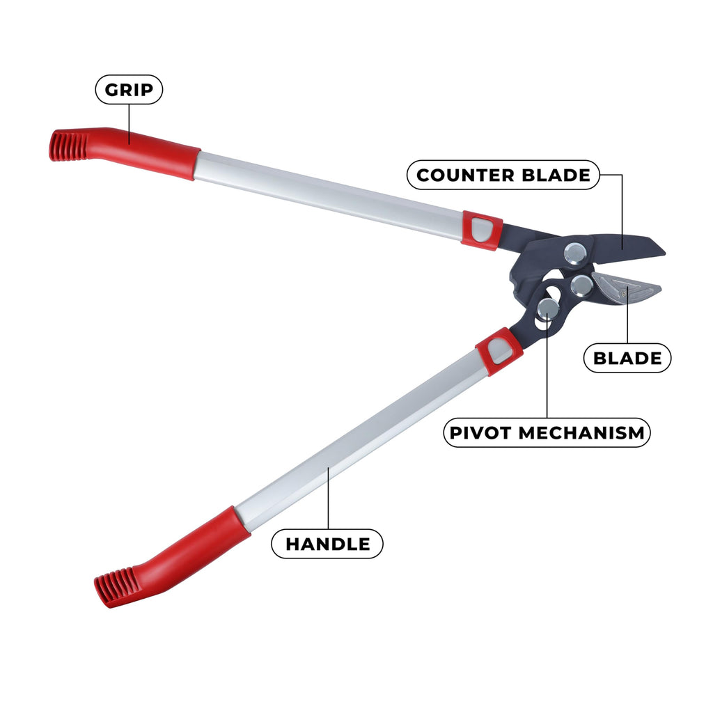 WOLF Garten WOLF-Garten - 2-schneidige Astschere »Basic Plus« POWER CUT* RR 650; 73AGA004650