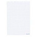 Herlitz 10834141 Flipchartblock, 68x99cm (kariert/gelocht), 5 Blöcke (20 Blatt je Block) (1, Blöcke ohne Zubehör (je 5 im Karton))