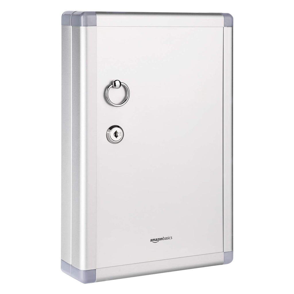 Amazon Basics Schlüsselkasten für 24 Schlüssel, abschließbarer Kasten, Rechteckig, 6.1 x 21.6 x 31.8 cm, Silber