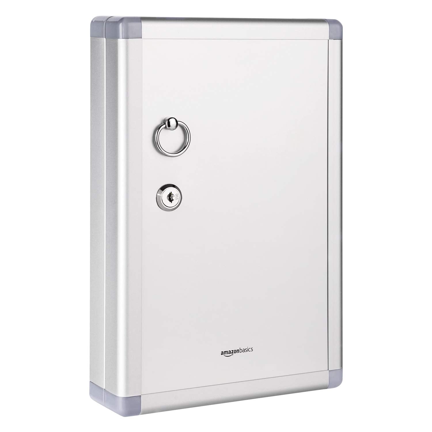 Amazon Basics Schlüsselkasten für 24 Schlüssel, abschließbarer Kasten, Rechteckig, 6.1 x 21.6 x 31.8 cm, Silber