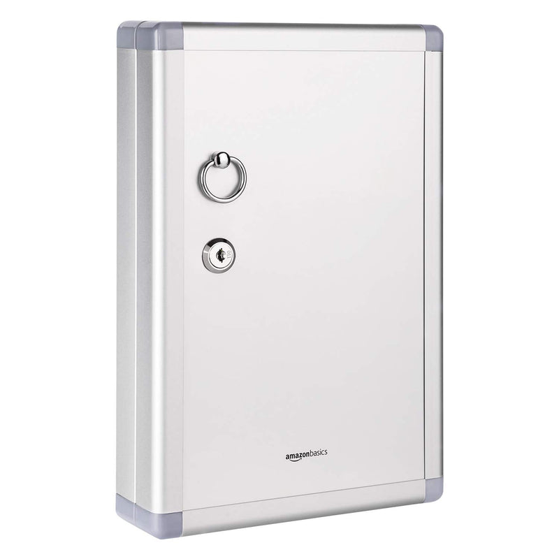 Amazon Basics Schlüsselkasten für 24 Schlüssel, abschließbarer Kasten, Rechteckig, 6.1 x 21.6 x 31.8 cm, Silber