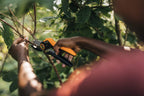 Fiskars Amboss-Gartenschere, Plus PowerLever, P741, Für trockenes und hartes Holz, Antihaftbeschichtet, Edelstahl-Klingen, Länge: 22,1 cm, Schwarz/Orange, 1057171