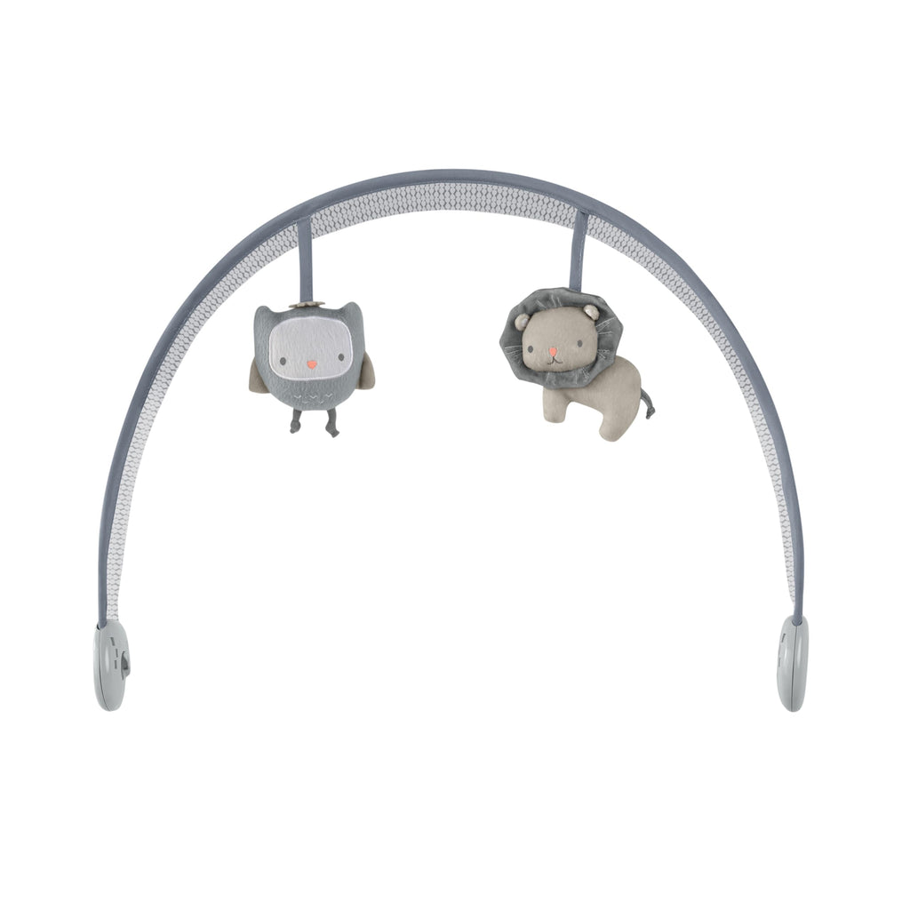 Ingenuity, automatische Babywippe Babyschaukel, Braden mit 2 Schaukelgeschwindigkeiten, mehr als 12 Melodien, abnehmbarem Spielzeugbügel, maschinenwaschbarem Sitzkissen und mehr