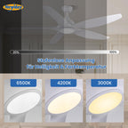 Newday Deckenventilatoren Große 153CM, Deckenventilator Weiß mit Beleuchtung und Fernbedienung Leise, Ventilator Lampe Decke mit 5 Flügel, Motor DC Reversibel, Speicherfunktion, Stufenloser Dimmer