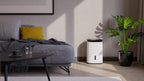 Meaco MeacoDry Arete® Two 12L Luftentfeuchter & HEPA-H13-Luftreiniger, Meaco-WLAN-App, intelligenter Feuchtigkeitsmodus, Wäschemodus, Stromsparmodus, leiser Modus, senkt Feuchtigkeit, 5 Jahre Garantie