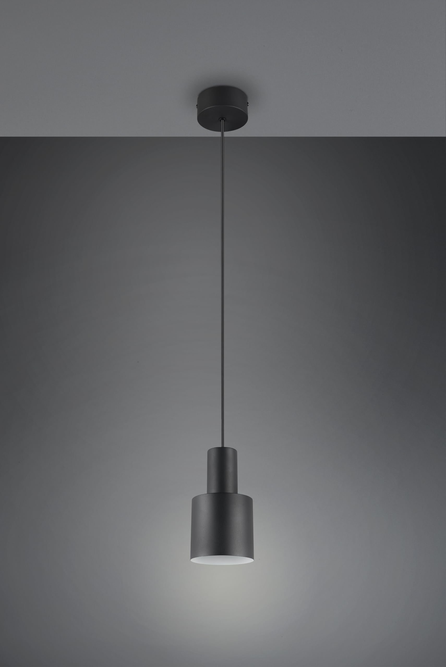 Trio Leuchten Pendelleuchte Agudo 319400132, Metall Schwarz matt, exkl. 1x E27