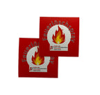 IWH - Feuerlöschspray 750 ml | Kompakter A+F Schaumlöscher mit Halter ideal für Camping, Auto, Haus und Freizeit | Kleines Feuerlöschspray ideal auch für unterwegs | Inhalt: 2x750 ml; H: 315 mm