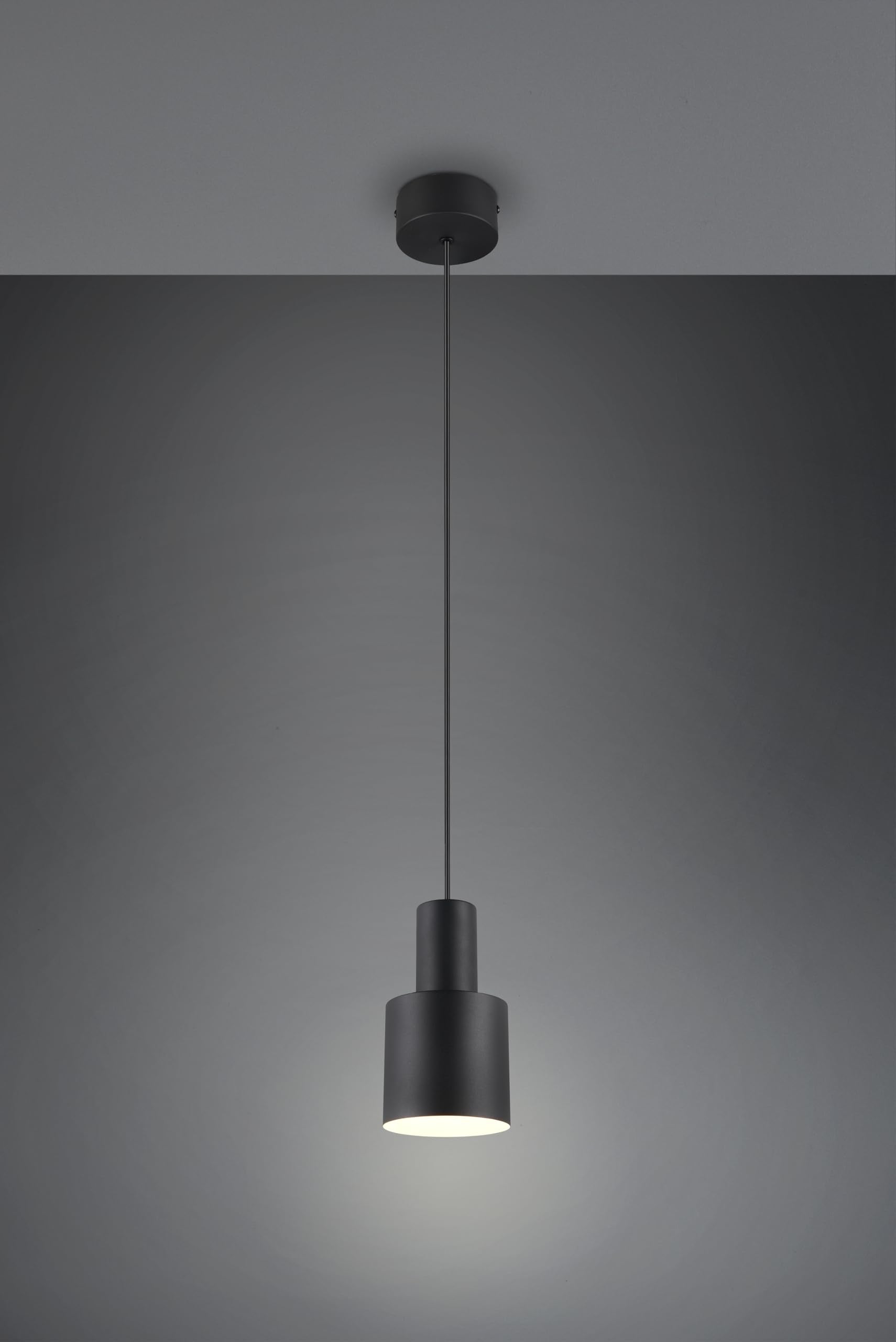 Trio Leuchten Pendelleuchte Agudo 319400132, Metall Schwarz matt, exkl. 1x E27
