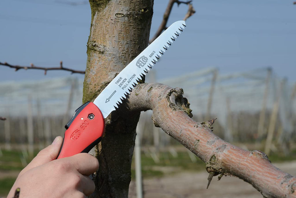 FELCO 600 Säge (Sägeblatt 16 cm, Klappsäge Schnitt-ø 50 mm, Länge 350 mm, ziehender Schnitt, Astsäge klappbar, Baumsäge für Links- und Rechtshänder), 26 x 16 x 12 cm