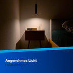 REV Pendelleuchte Akku - 130lm dimmbar 3 Farben, Timer 1-4H, höhenverstellbar durch ziehen (37-163cm) Hängeleuchte mit Fernbedienung, ideal als Hängelampe ohne Strom, schwarz