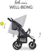 hauck Geschwisterwagen Roadster Duo SLX, Zwillingsbuggy ab Geburt bis 15 kg (ca. 3 Jahren) mit Liegefunktion, XL Korb, Einfach und Klein Zusammenklappbar, Große Räder (Grey/Silver)