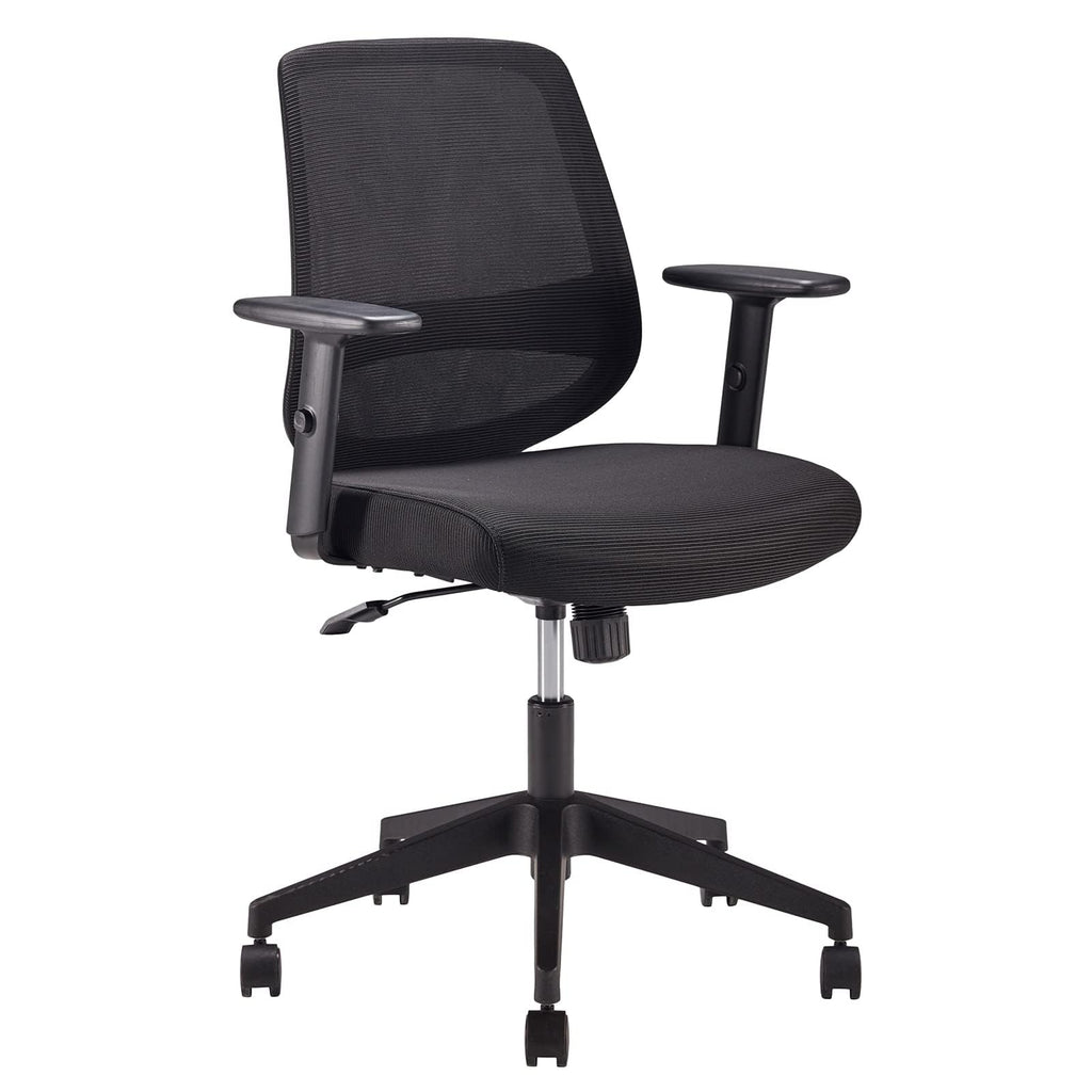 Amazon Basics Ergonomischer Bürostuhl, Schreibtischstuhl mit verstellbaren Armlehnen, Lendenwirbelstütze, Chefsessel aus Mesh-Gewebe, rückenfreundlich, einfache Montage, 63,5 x 58,4 x 91,4 cm, schwarz