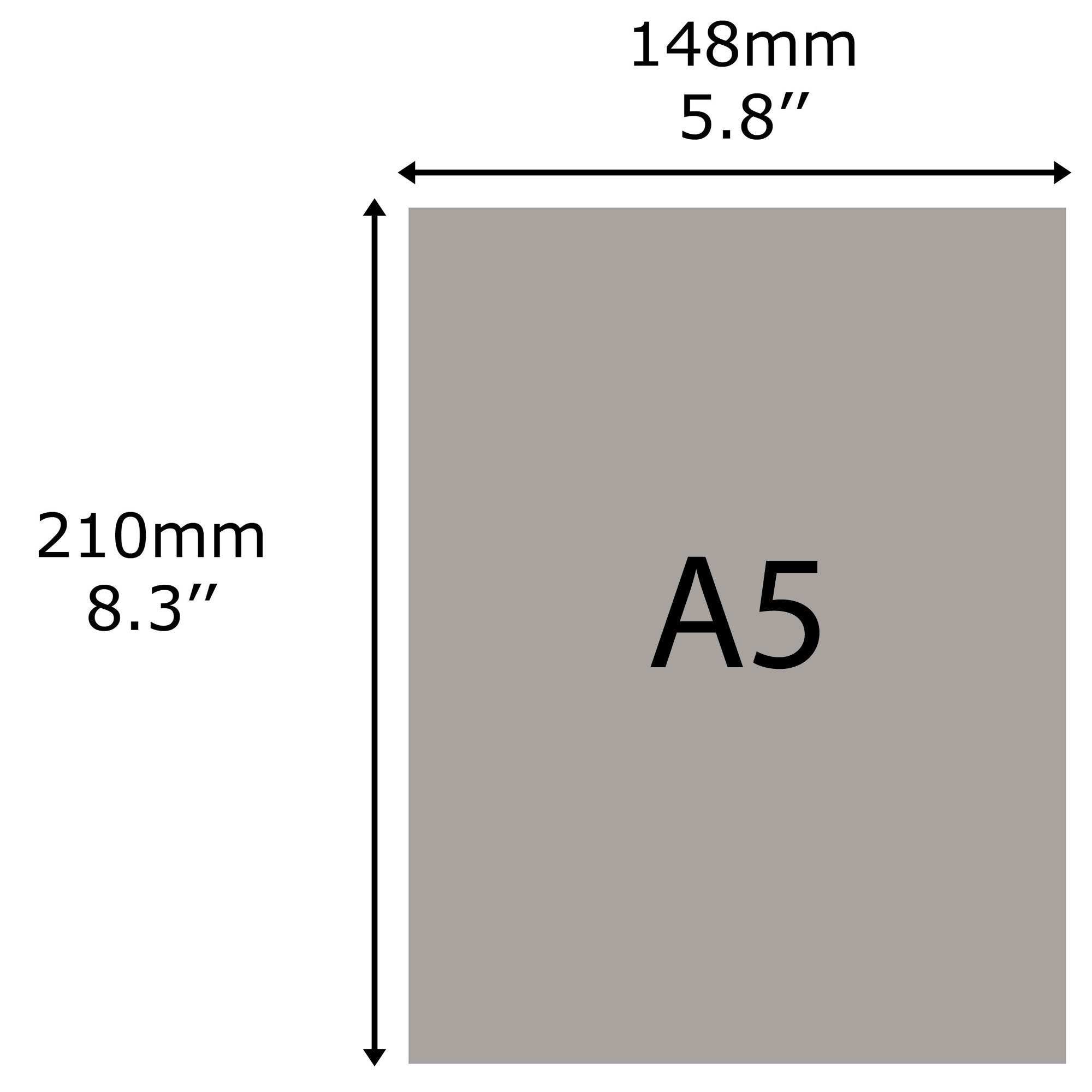 Taymar Broschürenständer mit vier Fächern für Prospekte und Broschüren in Größe A5 2 Stück