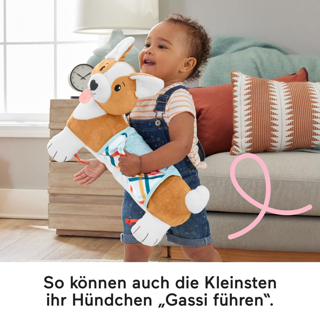 Fisher-Price Baby-Spielzeug zum Spielen in der Bauchlage, 3-in-1 Hündchen Spielkissen mit BPA-freiem Beißring, Rassel und Spiegel-Spielzeug