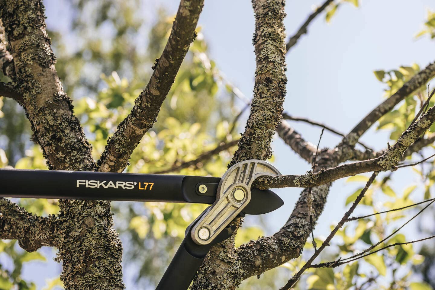 Fiskars PowerGear Amboss-Getriebeastschere für trockene Zweige und Äste, Schneide und stumpfes Gegenstück, Antihaftbeschichtet, Gehärteter Präzisionsstahl, Länge: 69 cm, Schwarz/Orange, L77, 1000583