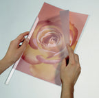 Durable Klemmschienenhülle A4, für circa 1-100 Blatt, Packung à 50 Stück, transparent, 291919