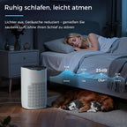 AROEVE Luftreiniger, CADR 300 m³/h für 120 m² Raum, Luftreiniger Allergiker gegen Pollen, Staub, Tierhaare, Rauch, Automatikmodus mit Sensor, Leise 25dB, Ideal für Allergie-Haushalte