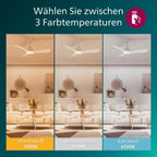 Philips Deckenventilator mit festem Flügel, 3 Flügel, klein (42"), 28 W LED-Licht, Gleichstrommotor, Farbtemperaturbereich (3000 K, 4300 K, 6500 K) mit Dimmfunktion, inkl. Fernbedienung