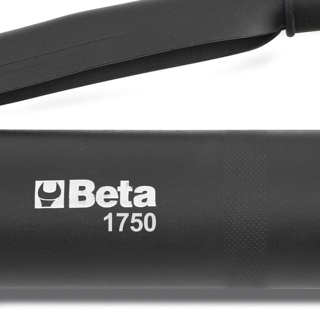 Beta 1750 500 - Hebelfettpressen